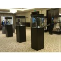 display cabinet and showcase for jewelry shop